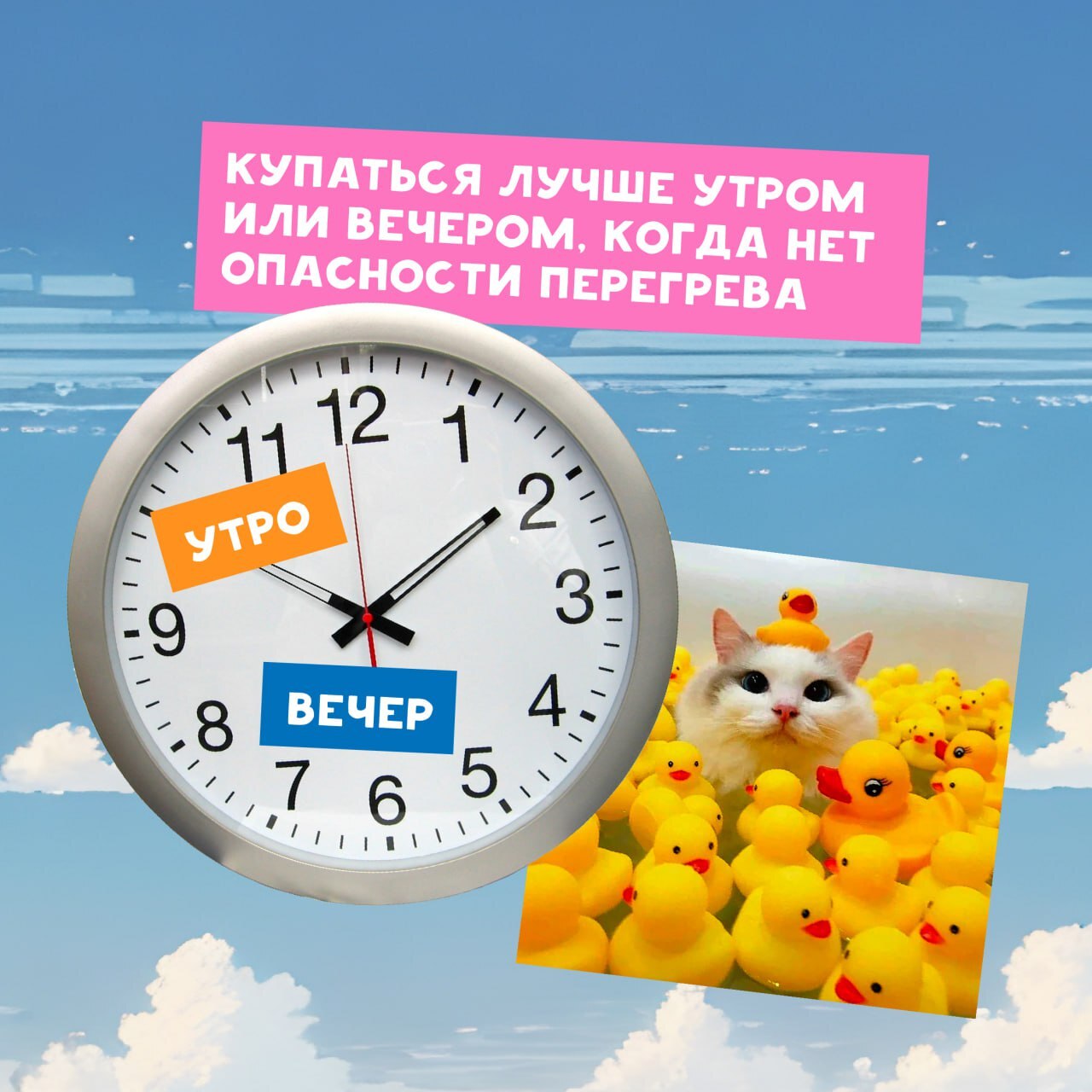 часы, на которых указано время. Текст гласит, что купаться лучше утром или вечером, когда нет опасности перегрева. На фоне изображены утята, что добавляет игривости.