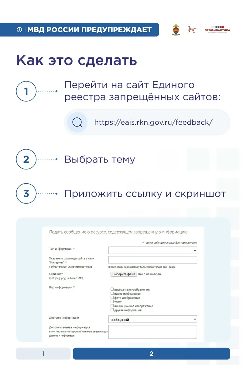 инструкция под заголовком «Как это сделать». Нумерованный список шагов: 1) «Перейти на сайт Единого реестра запрещённых сайтов: https://eais.rkn.gov.ru/feedback/», 2) «Выбрать тему», 3) «Приложить ссылку и скриншот». Ниже пример формы подачи сообщения и индикатор страницы «2».