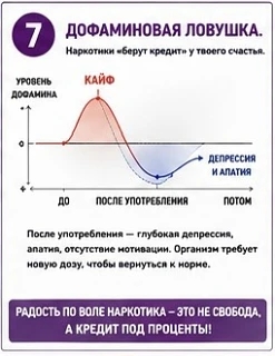 Плакат с заголовком «ДОФАМИНОВАЯ ЛОВУШКА». В центре расположен график колебаний уровня дофамина. График показывает резкий скачок вверх («КАЙФ») после употребления, а затем сильное падение ниже нулевой отметки, которое подписано как «ДЕПРЕССИЯ И АПАТИЯ». В тексте поясняется, что после употребления наступает глубокая депрессия и организму требуется новая доза. Внизу фиолетовая плашка с надписью: «РАДОСТЬ ПО ВОЛЕ НАРКОТИКА — ЭТО НЕ СВОБОДА, А КРЕДИТ ПОД ПРОЦЕНТЫ!»