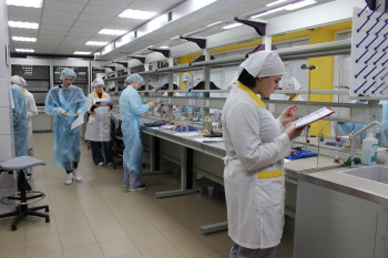 Общее фото как школьники работают в лаборатории